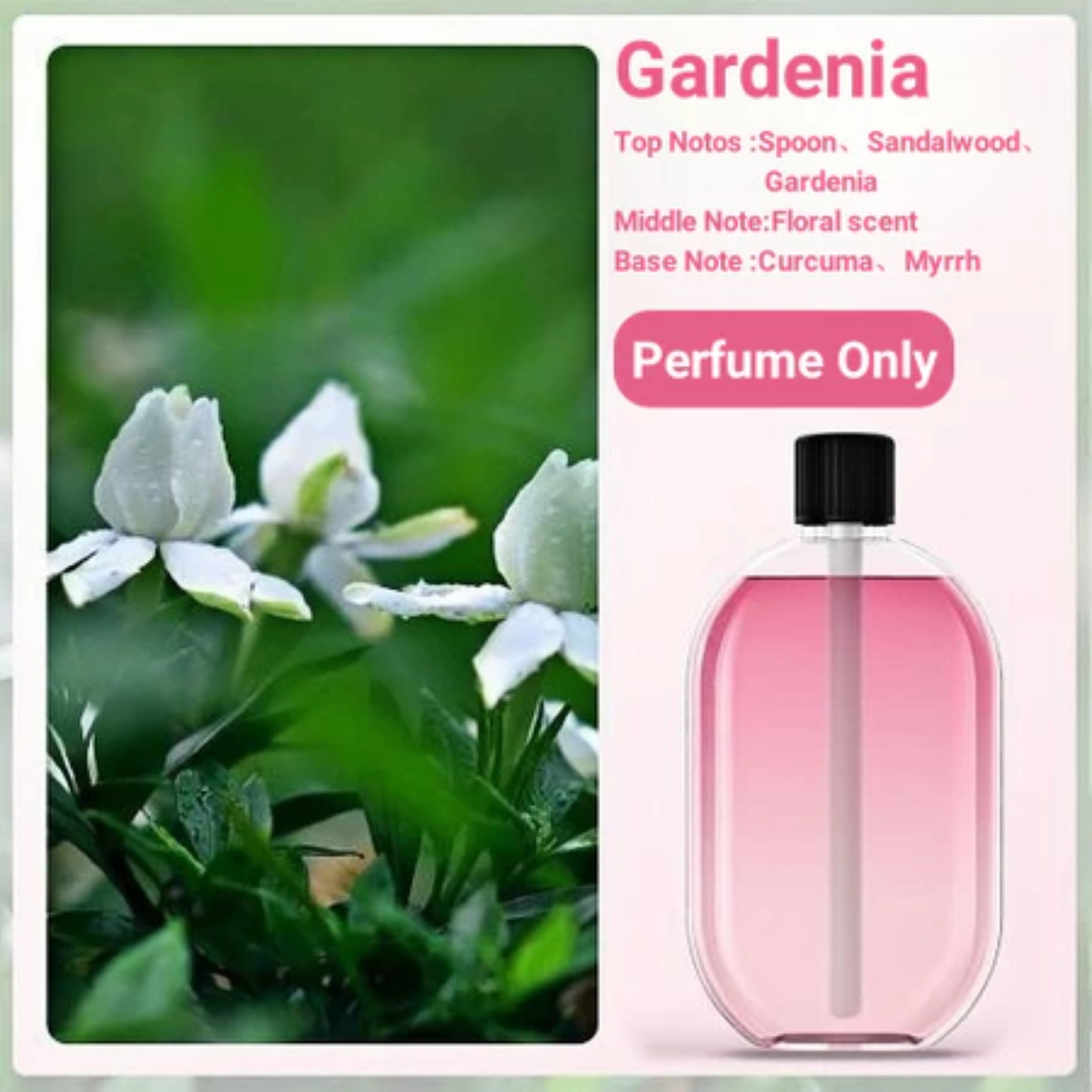 Gardenia Automatic Aromatherapy Diffuser USB Rechargeable Air Purifier & Room Freshener