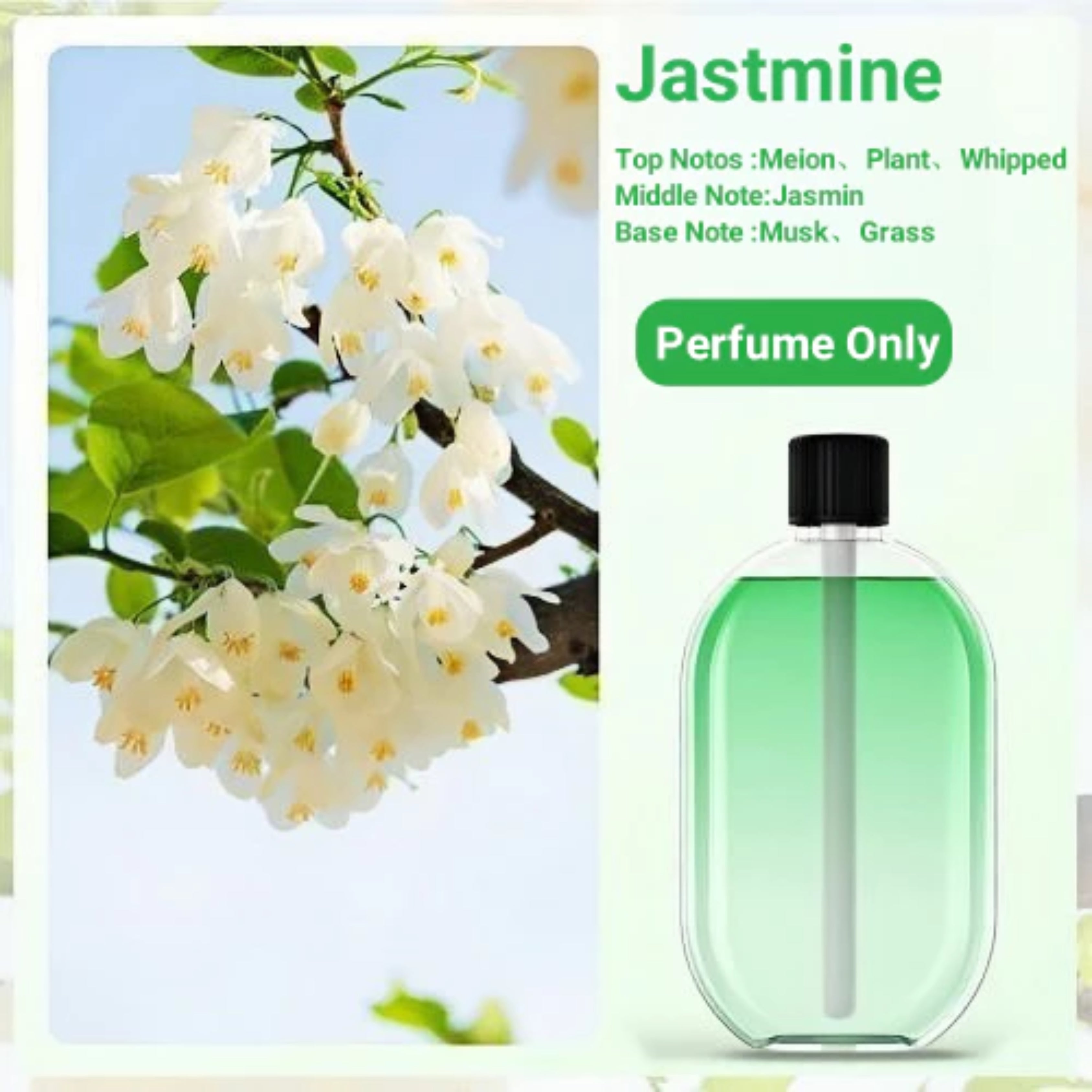 Gardenia Automatic Aromatherapy Diffuser USB Rechargeable Air Purifier & Room Freshener