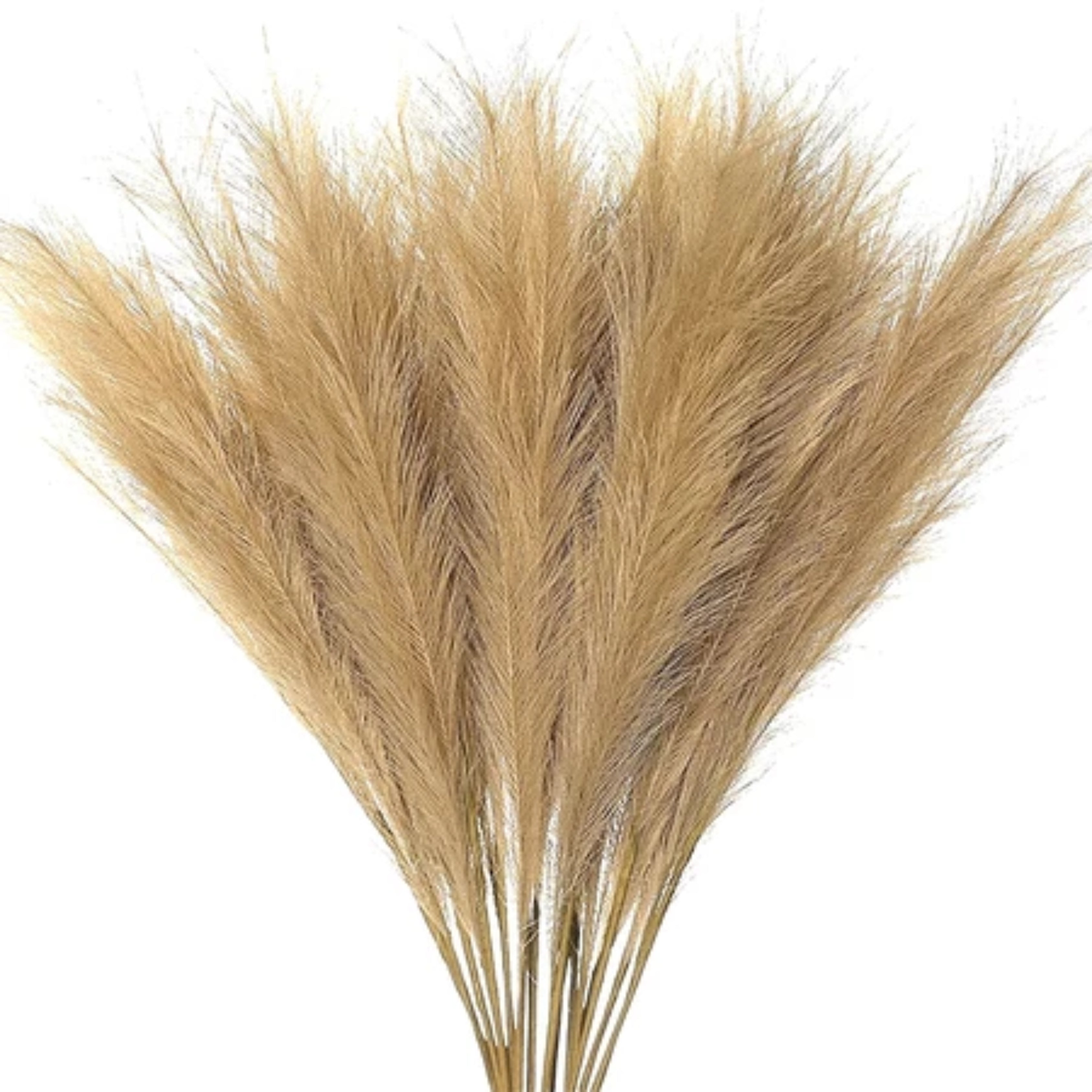 Modern Nordic Plastic Flower Vase Minimalist Home Decor for Dried Flowers