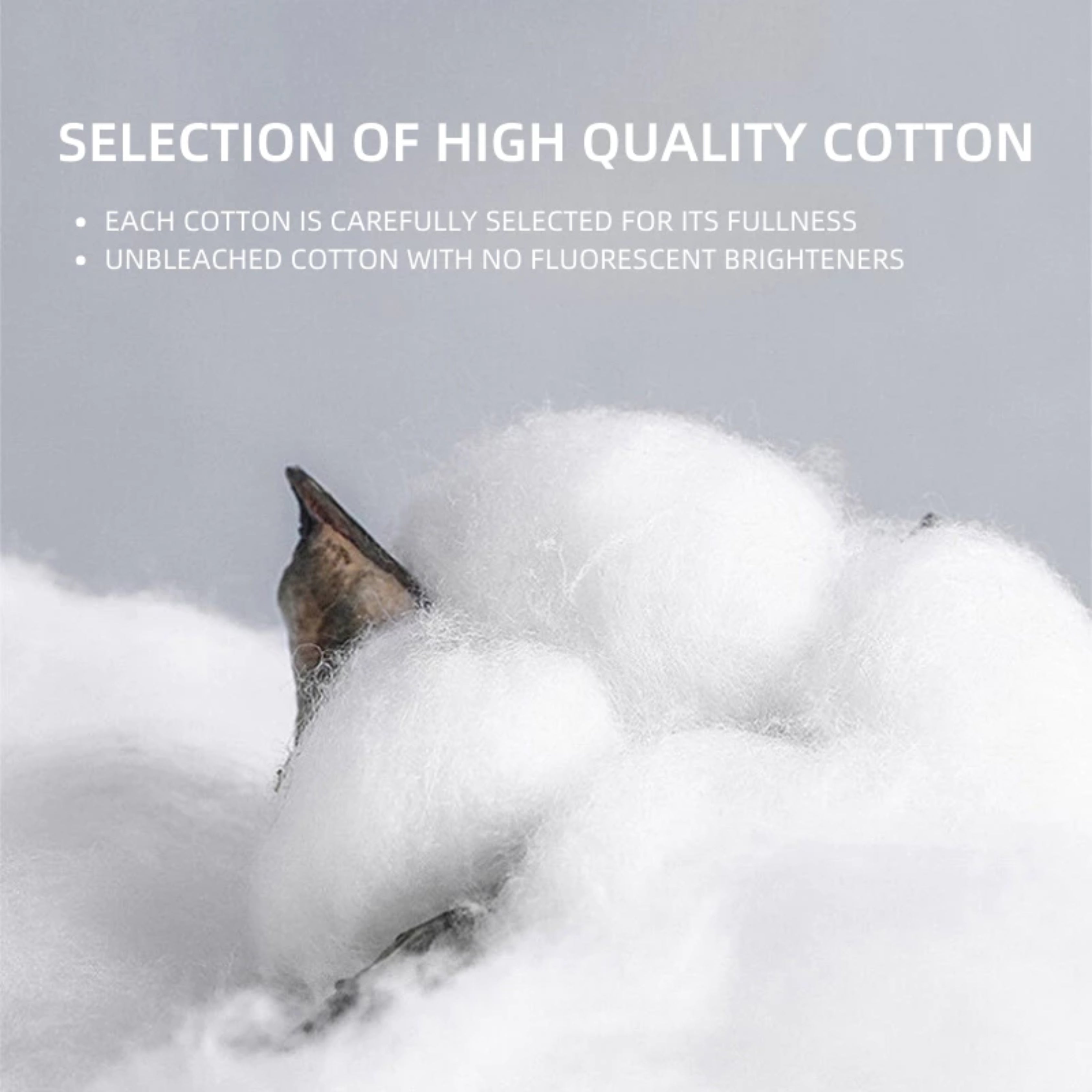 Universal Washable Sofa Cover for 1/2/3/4 Seater – Anti-Slip Elastic Couch Blanket Protector